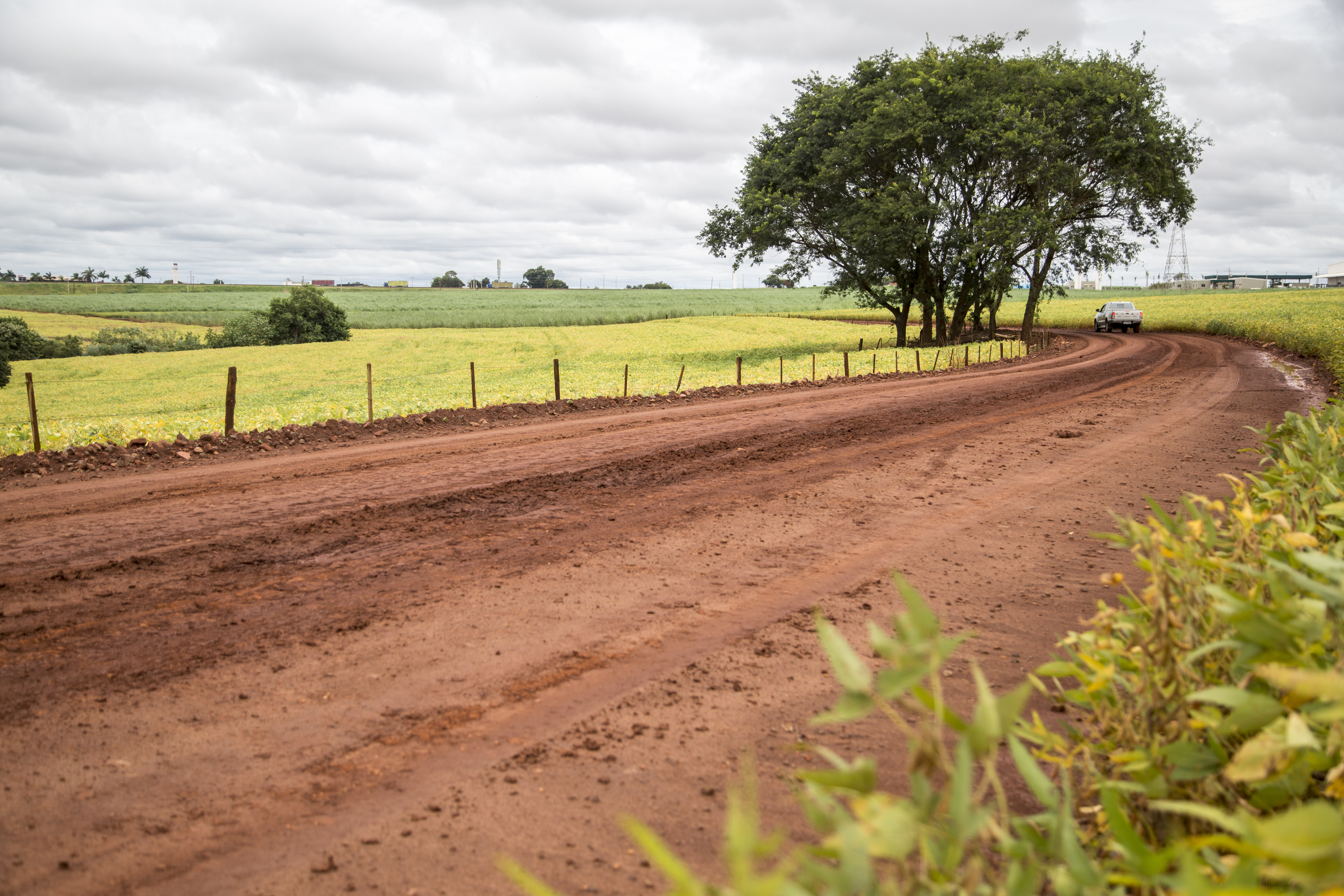 | Marcelo Andrade/Gazeta do Povo