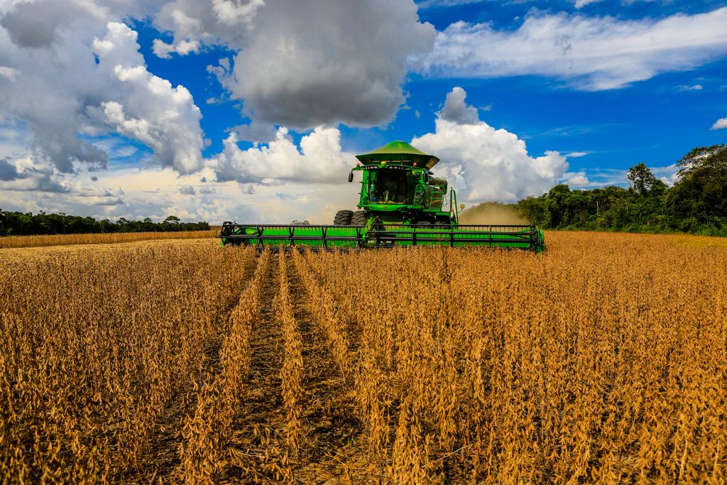  | Michel Willian/Gazeta do Povo