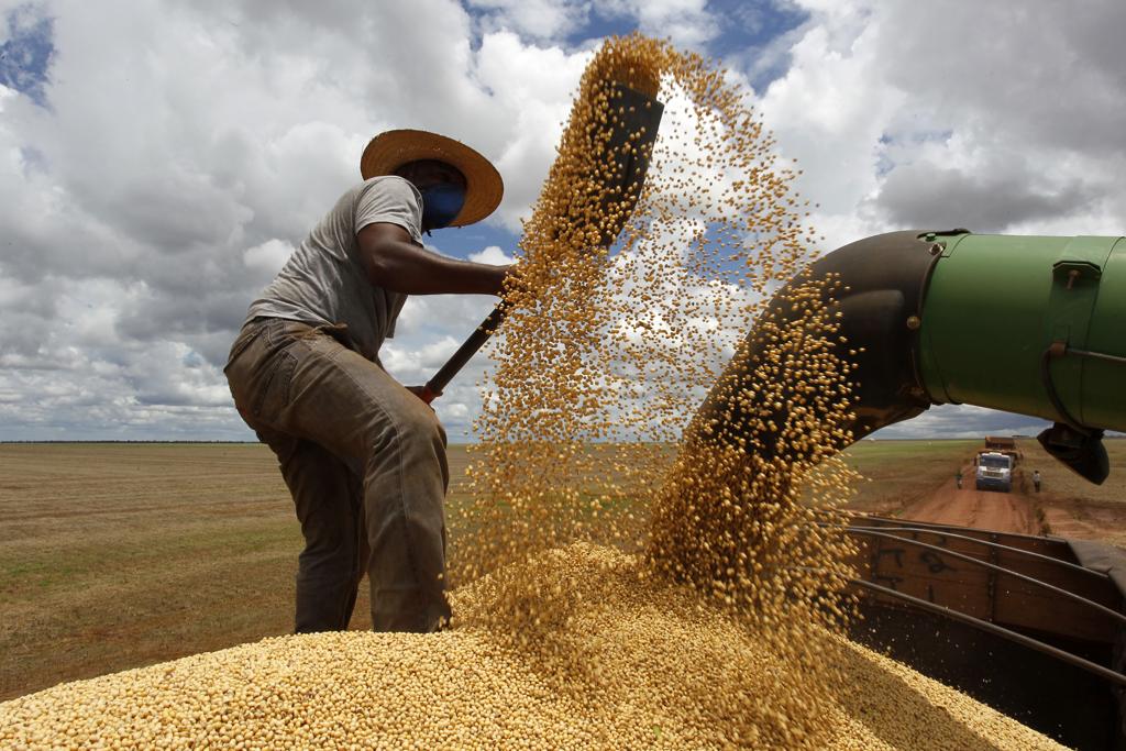 | Daniel Caron/Gazeta do Povo