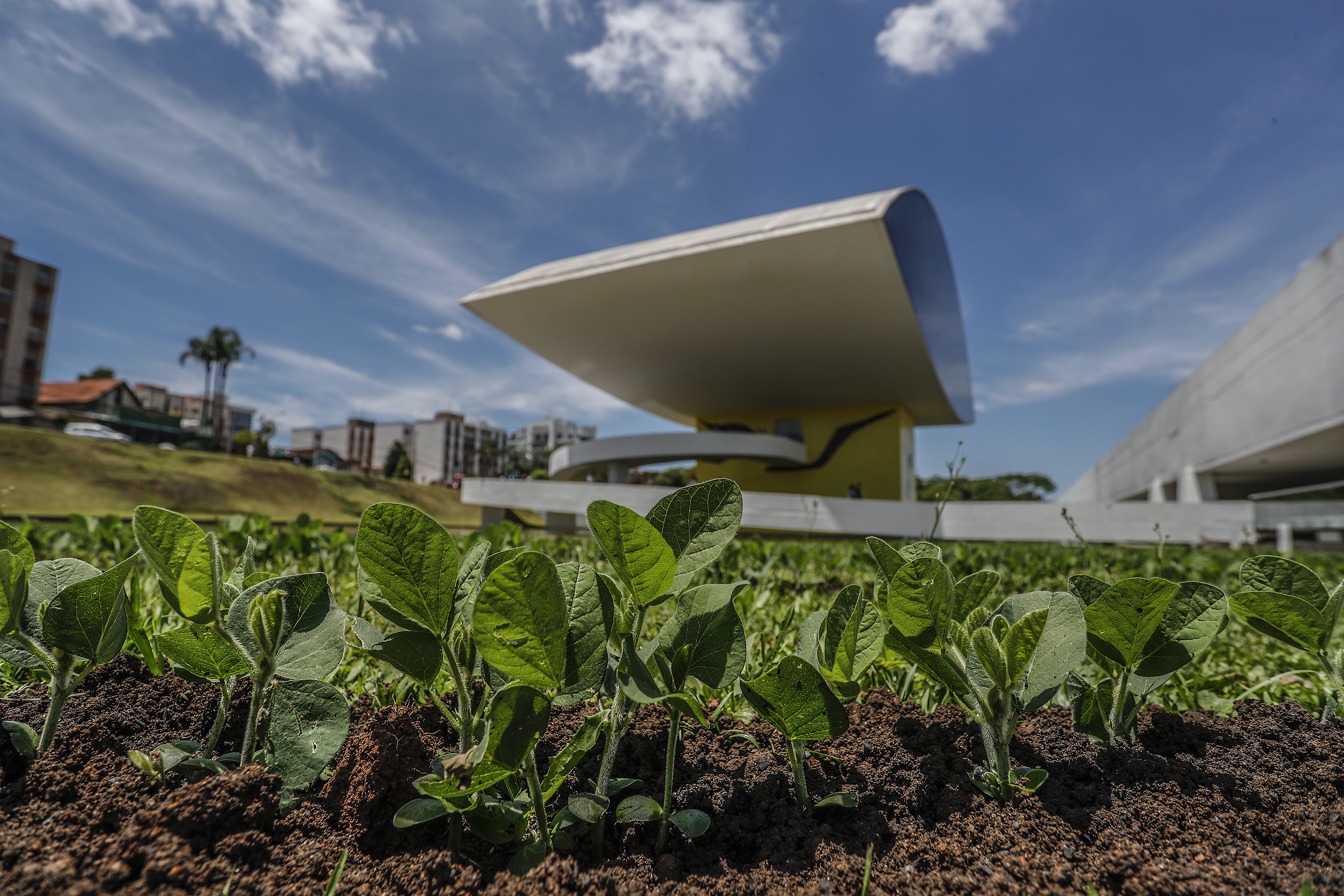 | Jonathan Campos/Gazeta do Povo