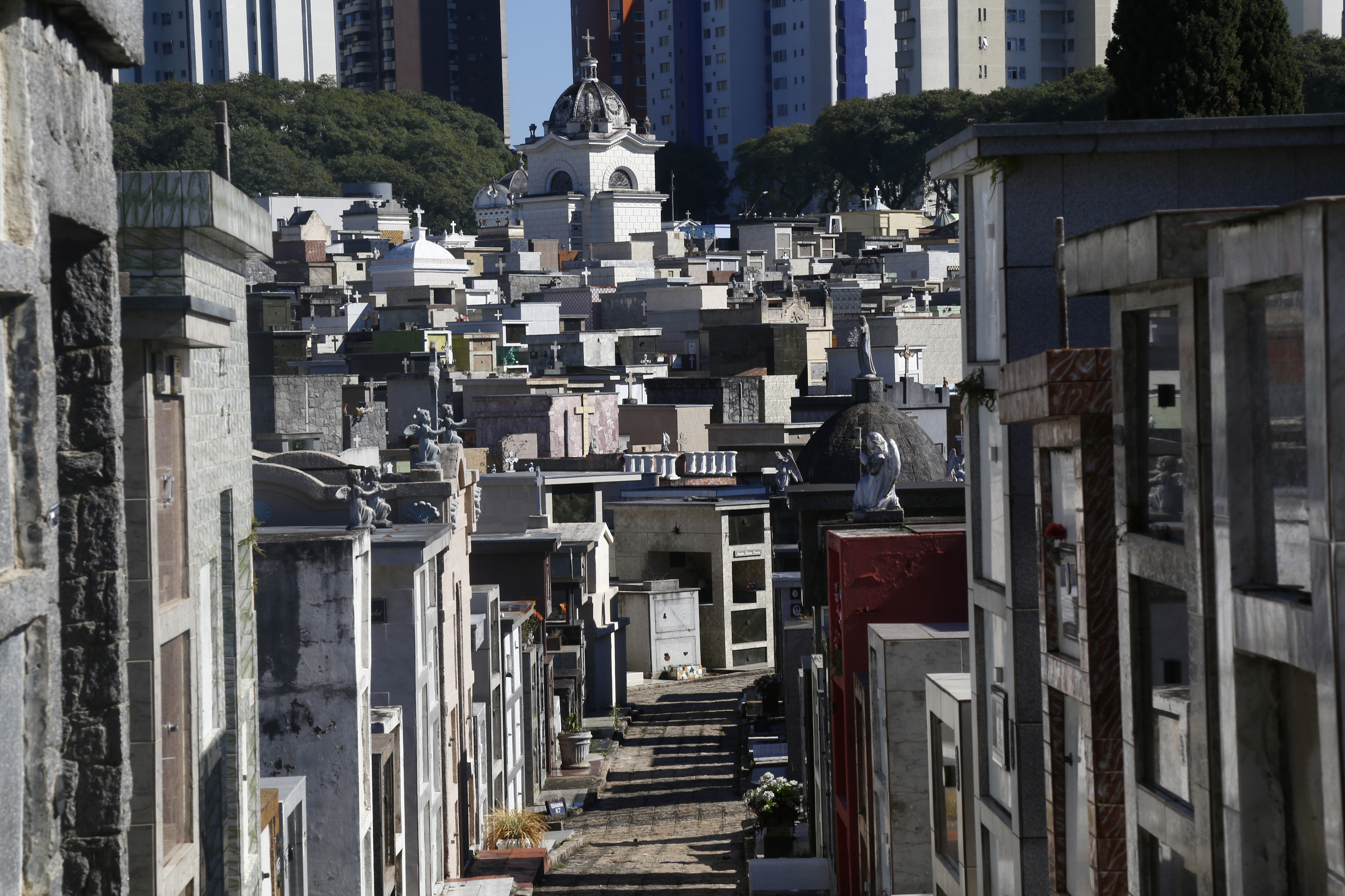 | Aniele Nascimento/Gazeta do Povo