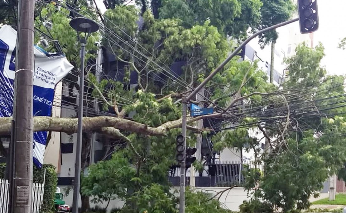 | Colaboração Tribuna do Paraná/Reprodução