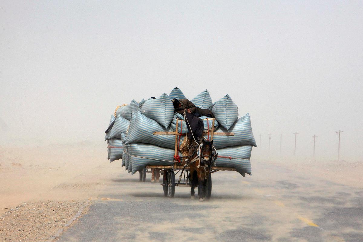 Homem uigur dorme durante uma tempestade de areia enquanto viaja com a sua carroça carregada de feno no deserto de Paklamakan, na região de Xinjiang, 5 de abril de 2008 | NIR/AF/TW/CHNIR ELIAS