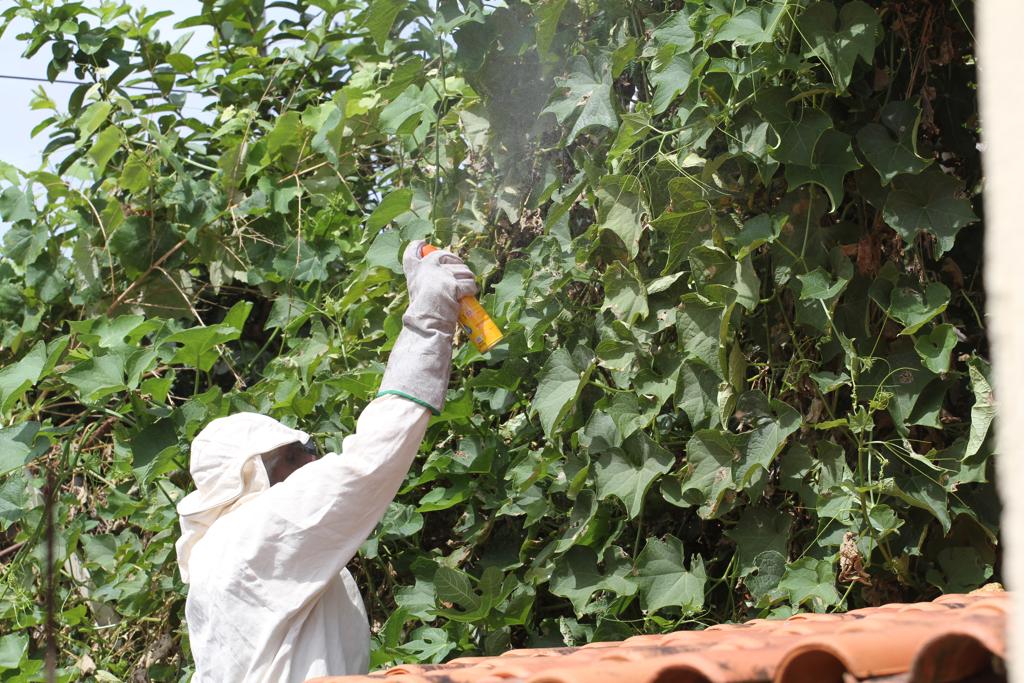 Bombeiros tiveram de usar roupa especial para espantar as abelhas. | Gerson Klaina/Tribuna do Paraná