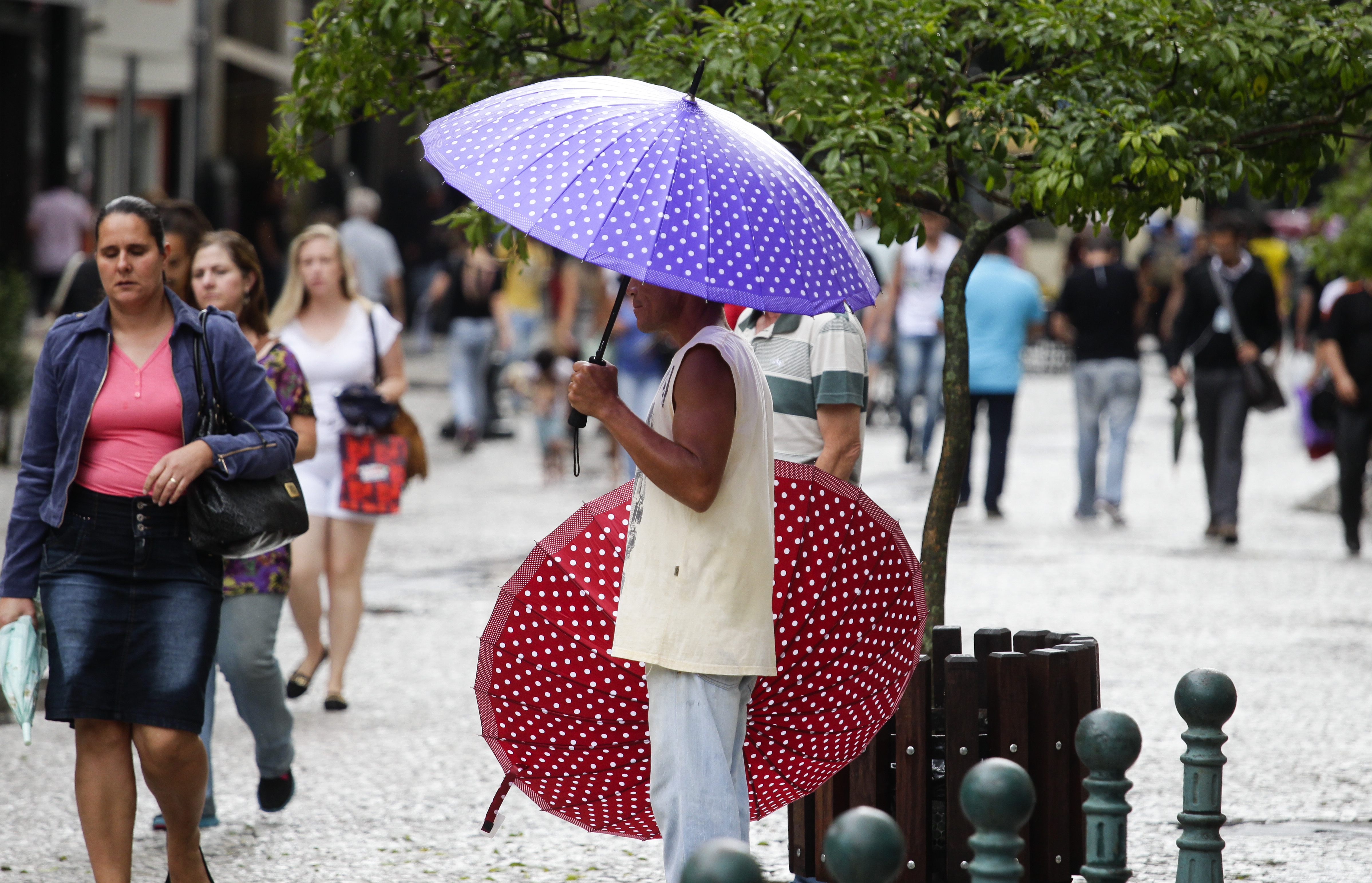 | Daniel Castellano/Gazeta do Povo/Arquivo