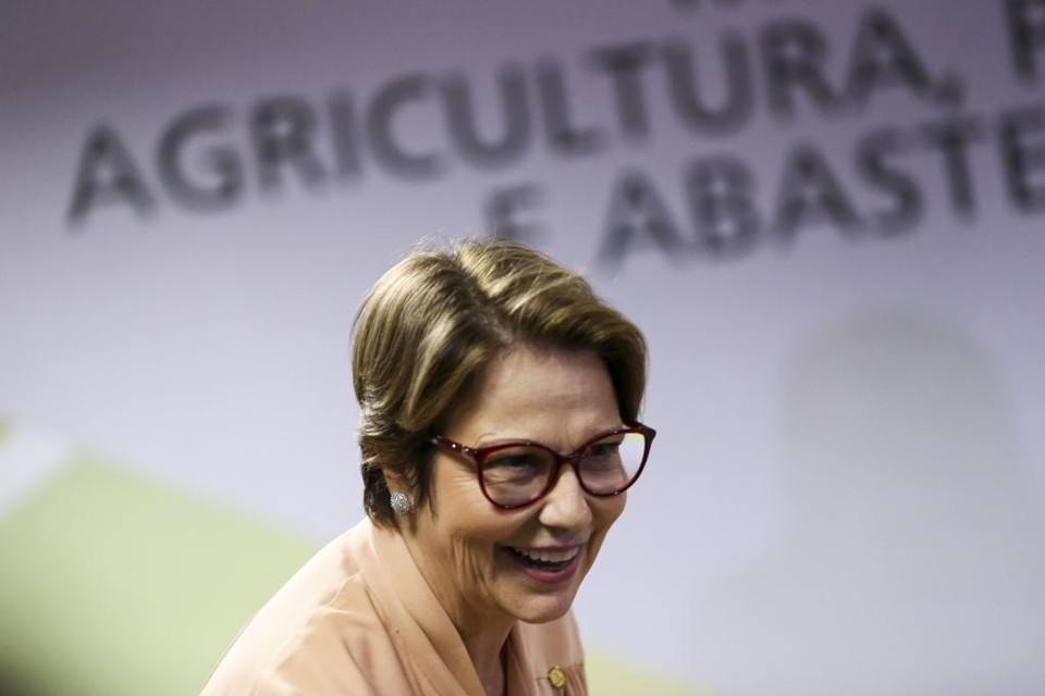 A ministra Tereza Cristina, durante cerimônia de posse em Brasília. | Marcelo Camargo/Agência Brasil