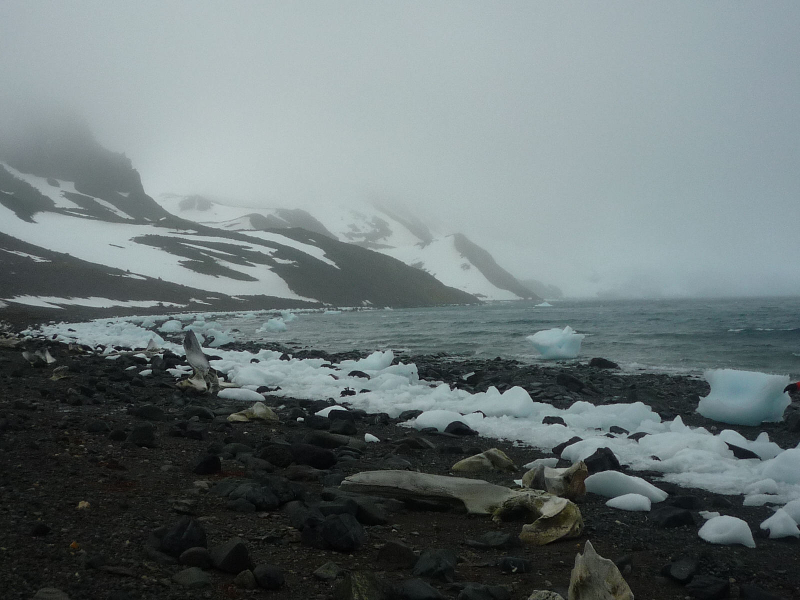 | Cristina Graeml/Arquivo/RPC-TV