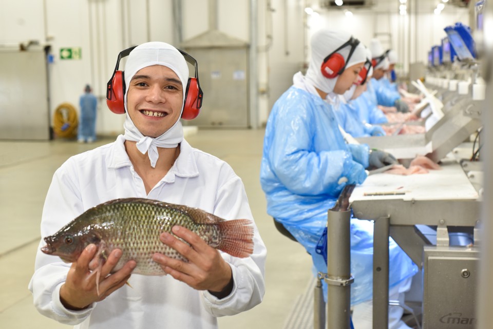 Desempregado no Rio Grande do Norte, William Dantas encontrou oportunidade na cadeia do peixe no Paraná | Imprensa/C.Vale