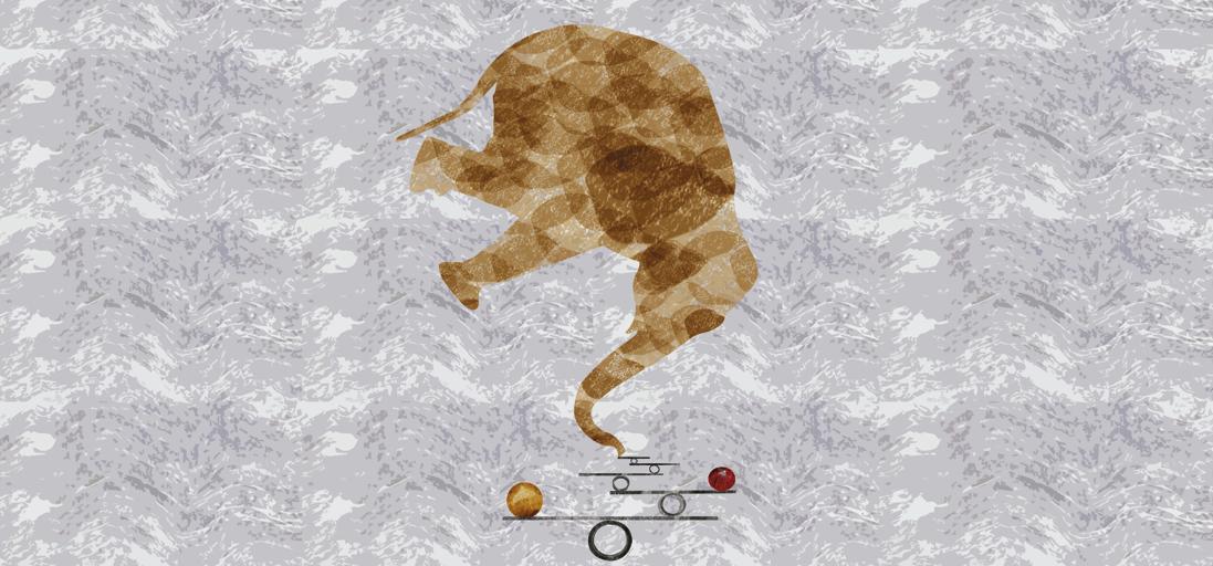 | Robson Vilalba/Thapcom