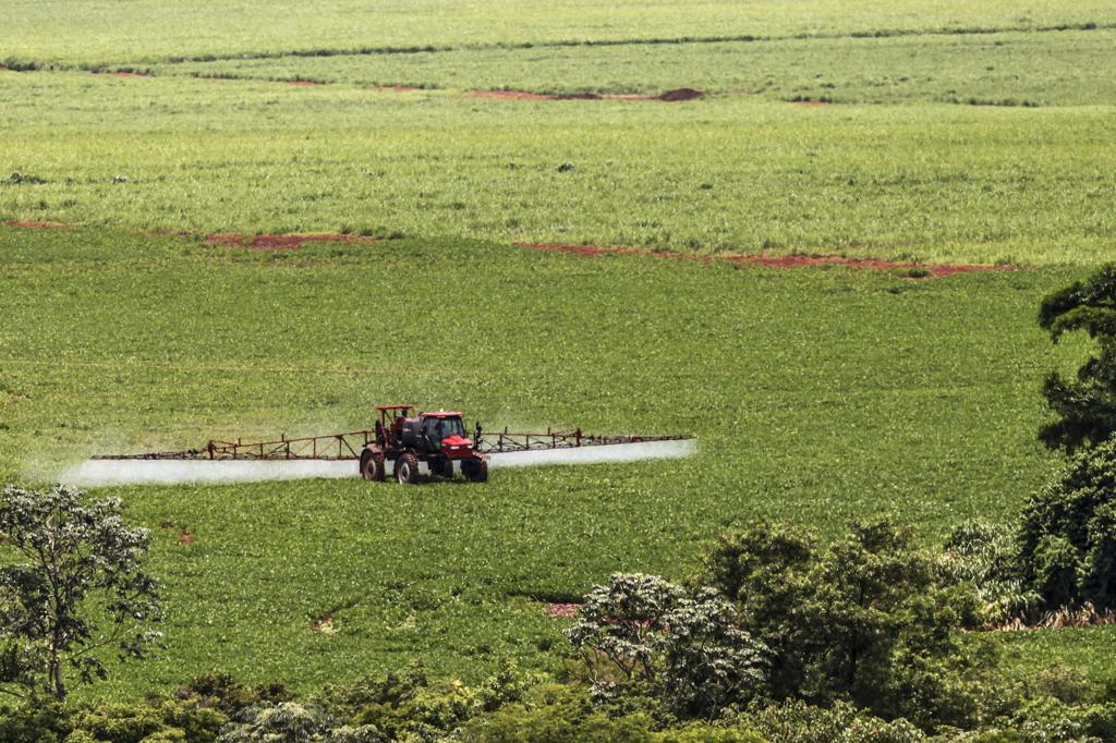 | André Rodrigues/Arquivo/Gazeta do Povo