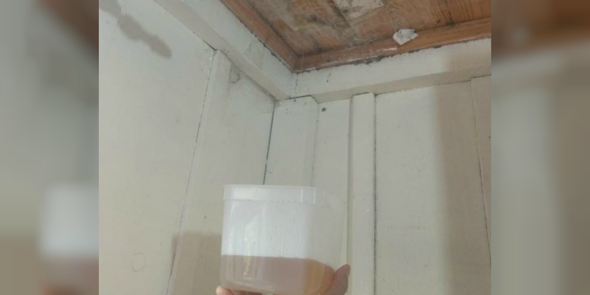 Desde quarta-feira (30) o mel começou a escorrer do forro | Acervo pessoal/