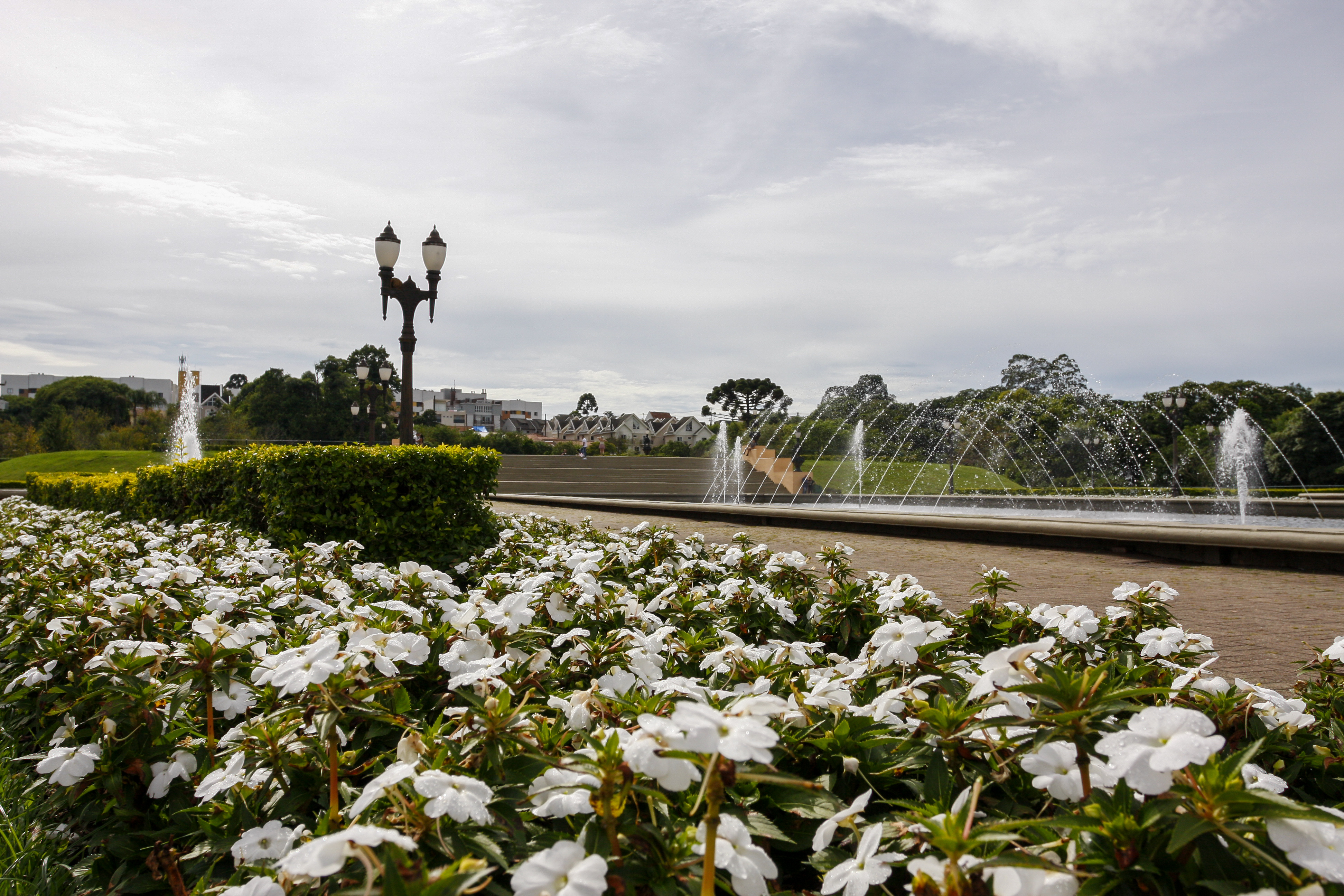 | Cassiano Rosario/Gazeta do Povo