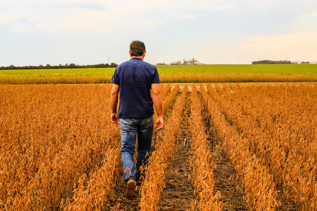 | Michel Willian/Gazeta do Povo