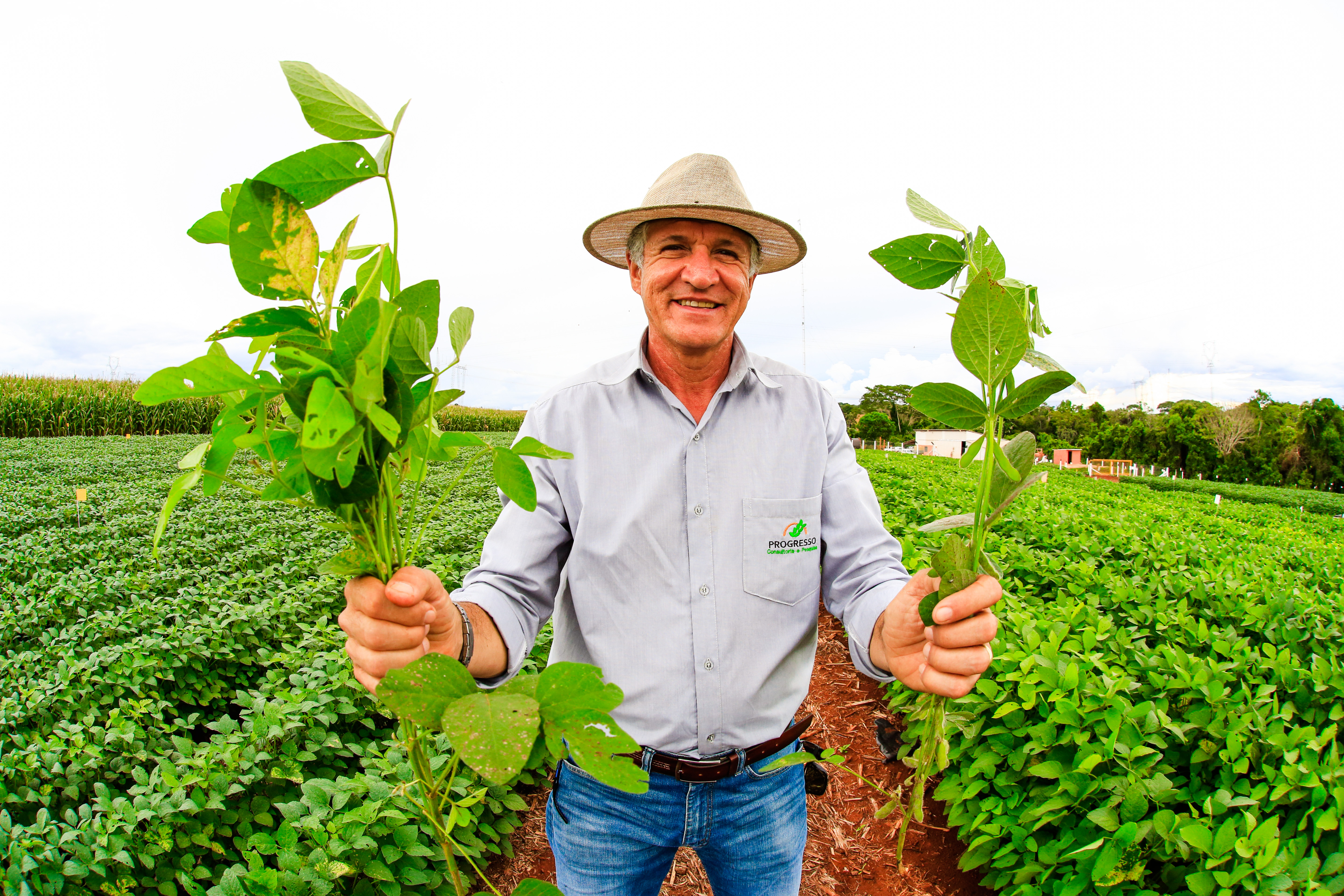Irumuara Uliana, proprietário da Fazenda Bom Jardim, em Montividiu (GO), mostra variedades de soja testadas na estação de pesquisa. | Michel Willian/Gazeta do Povo