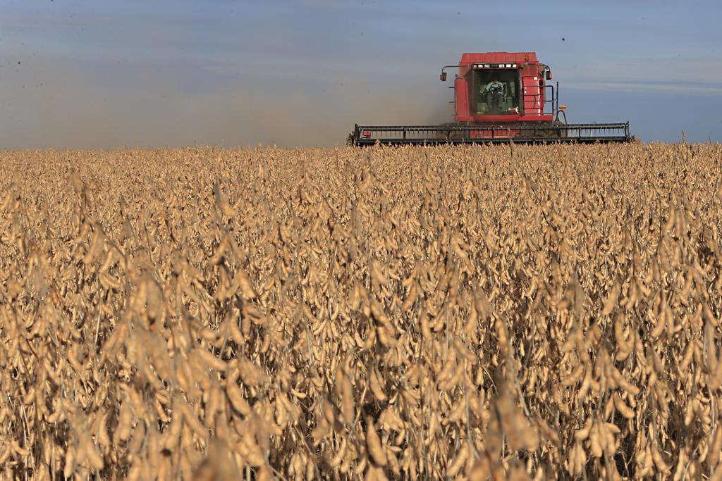  | Albari Rosa/Gazeta do Povo
