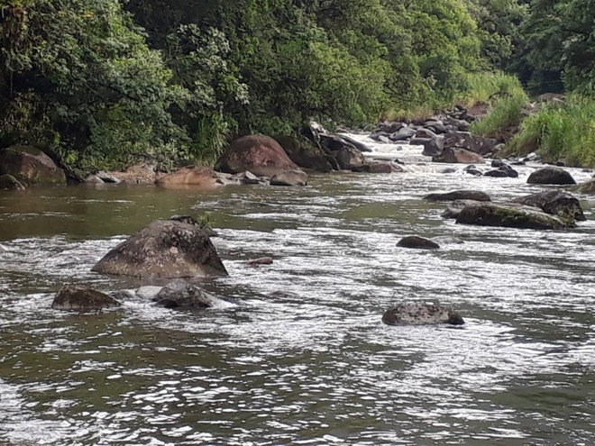 Antes de água transparente, Rio São João está verde desde o vazamento de óleo industrial na última quarta-feira. | 
