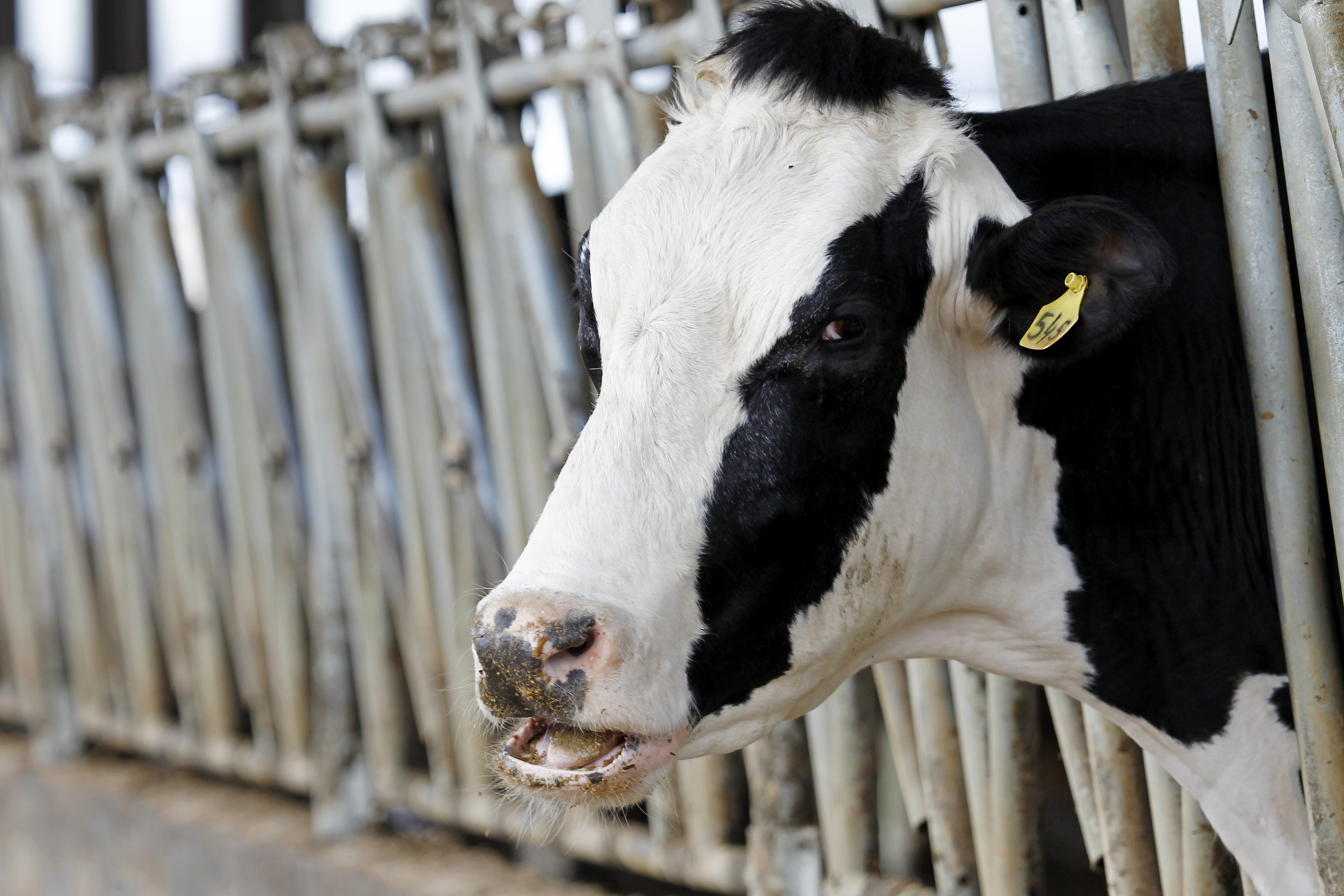  | Arquivo/Gazeta do Povo