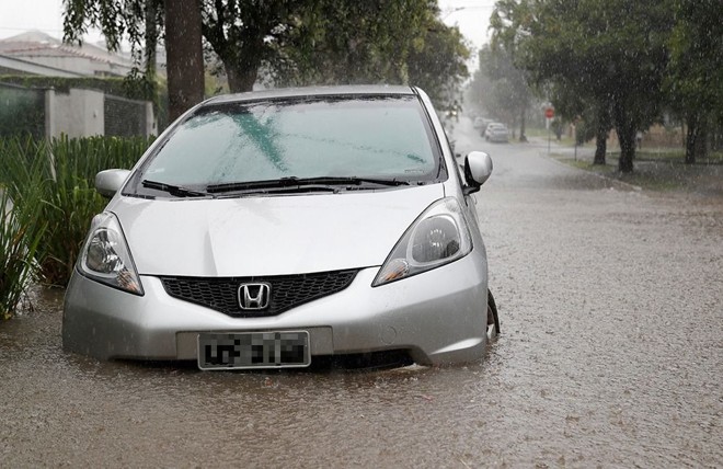 | Henry Milleo/Gazeta do Povo