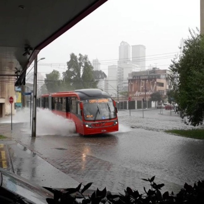 | Luís Renato/Colaboração