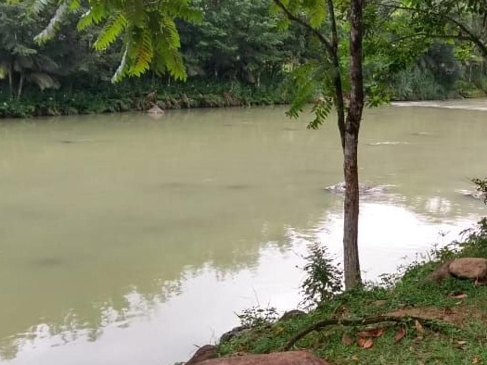 Água do Rio São João ficou verde após vazamento no tombamento de um caminhão-tanque. | /