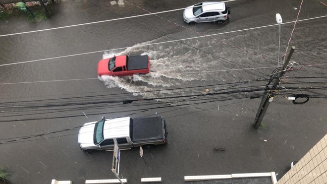 Prado Velho | Ana Julia da Cunha Pickler/Colaboração