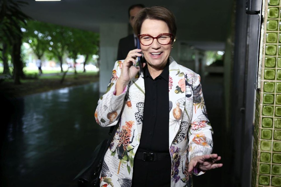 Ministra da Agricultura do governo Bolsonaro, Tereza Cristina falou por telefone com a Gazeta do Povo. | Antonio Cruz/Agência Brasil