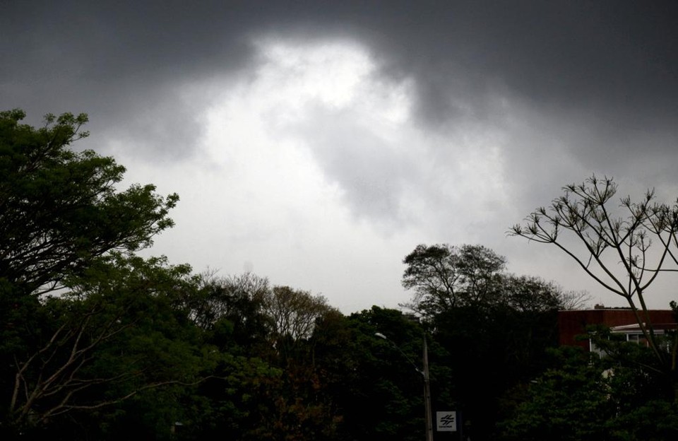 De acordo com a Defesa Civil foram registrados 11 casos de queda de árvores em Curitiba. | Aniele Nascimento/Gazeta do Povo