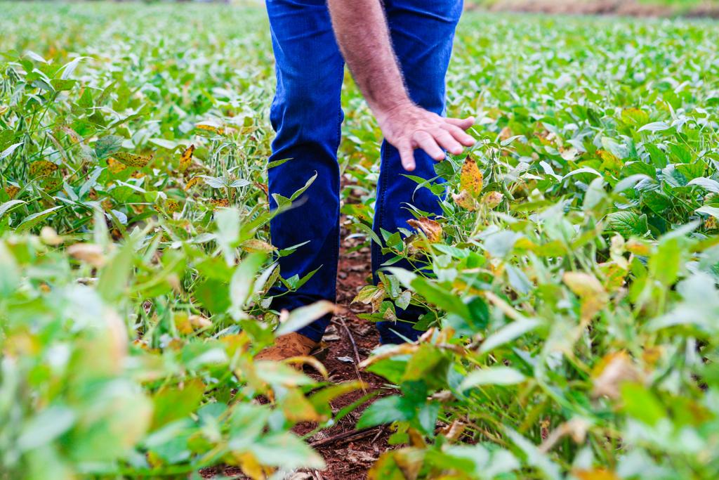  | Michel Willian/Gazeta do Povo