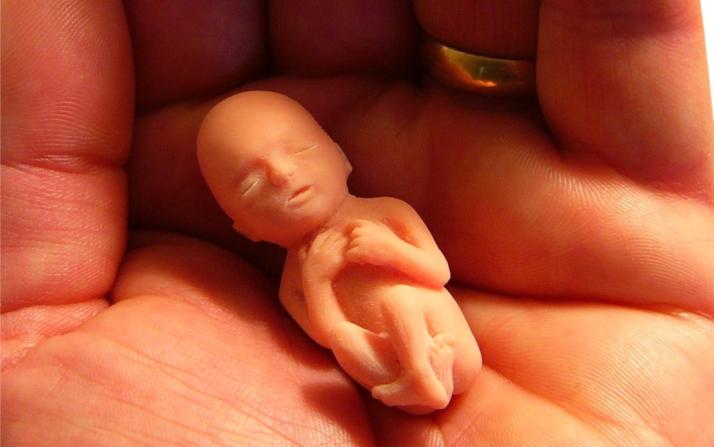  | Bill Davenport/Free Images