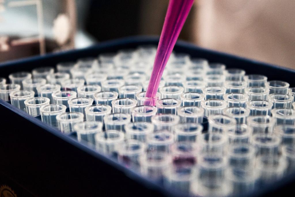 | Unsplash/Reprodução