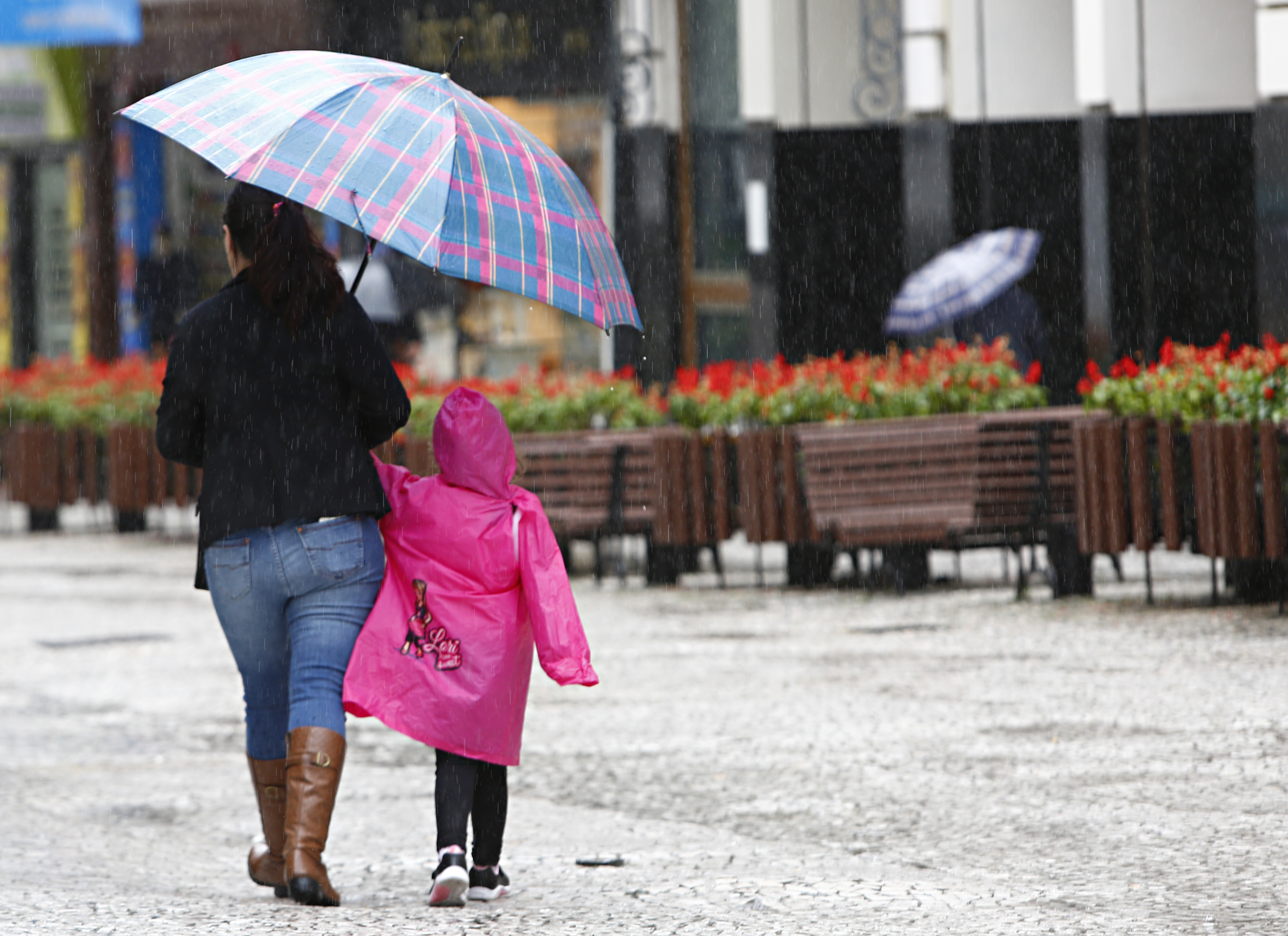 | Aniele Nascimento/Gazeta do Povo