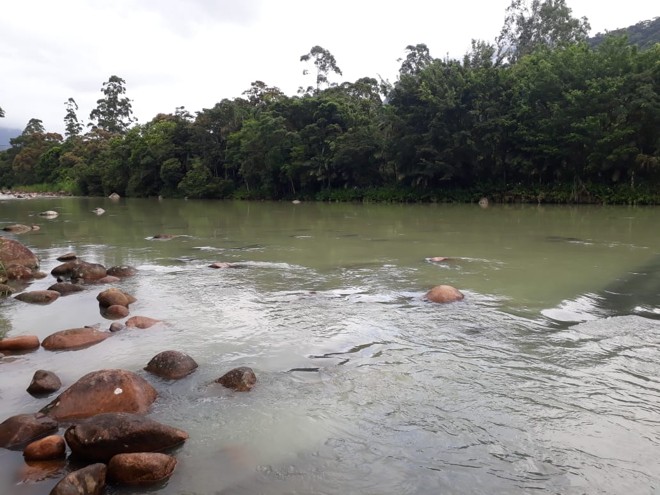 Antes de água transparente, Rio São João está verde desde o vazamento de óleo industrial na última quarta-feira. | 