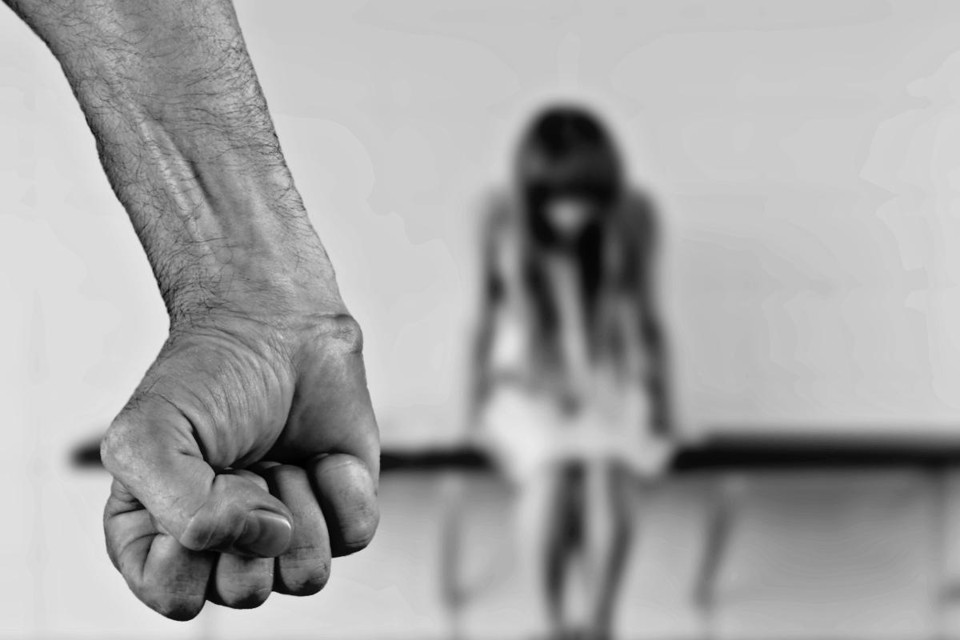 As feministas abandonaram as meninas para defender os transexuais A força física desproporcional dos homens é uma das razões pelas quais, desde o século 19, os homens são proibidos de entrar nos banheiros das mulheres | Pixabay