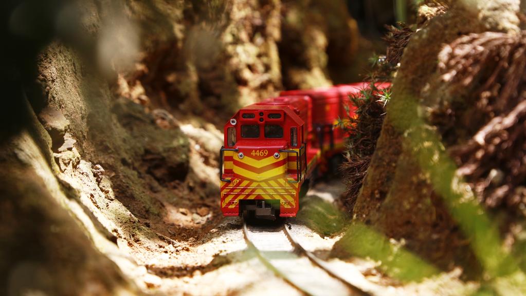 Mais de cinquenta vagões trafegam pelos trilhos no jardim de uma casa em Almirante Tamandaré. | Marco Charneski/Tribuna do Parana