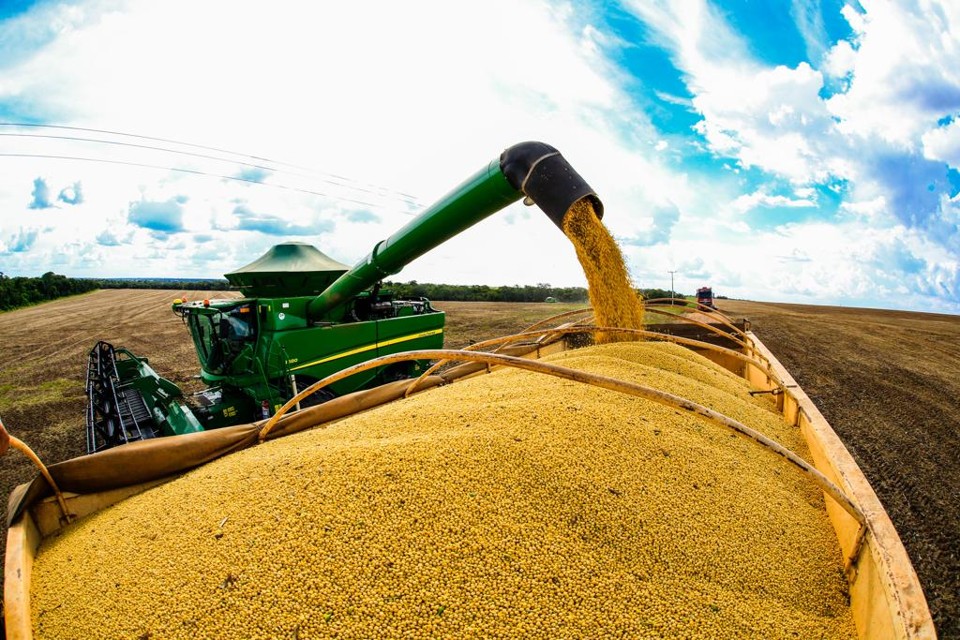 Soja é exemplo de como guerra comercial distorce os mercados, diz agência da ONU Guerra comercial com EUA fez com que a China fosse o destino, em 2018, de mais de 80% dos embarques de soja do Brasil | Michel Willian/Gazeta do Povo