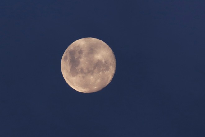  | Hamilton Bruschz Tribuna do Paraná