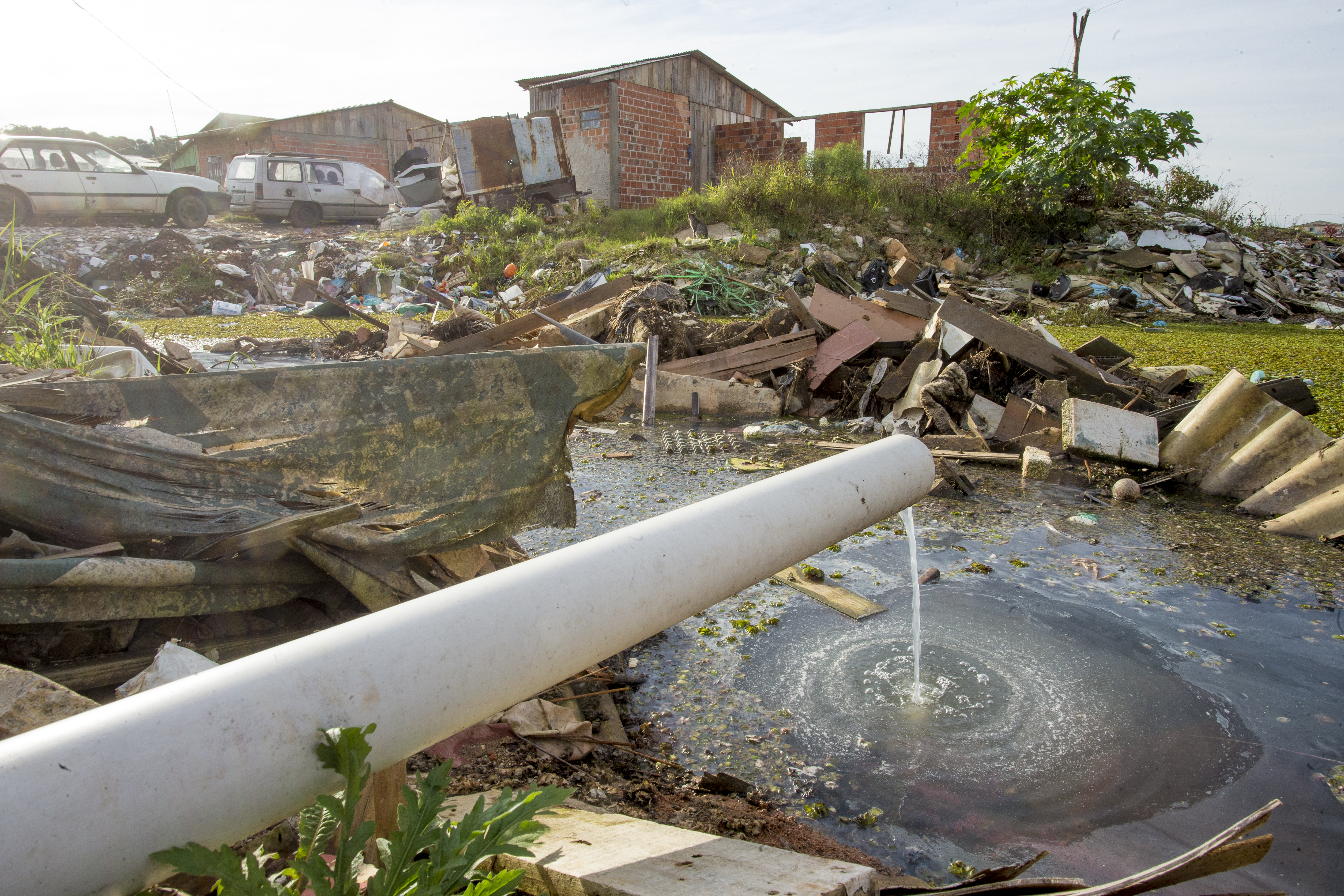| Hugo Harada/Gazeta do Povo