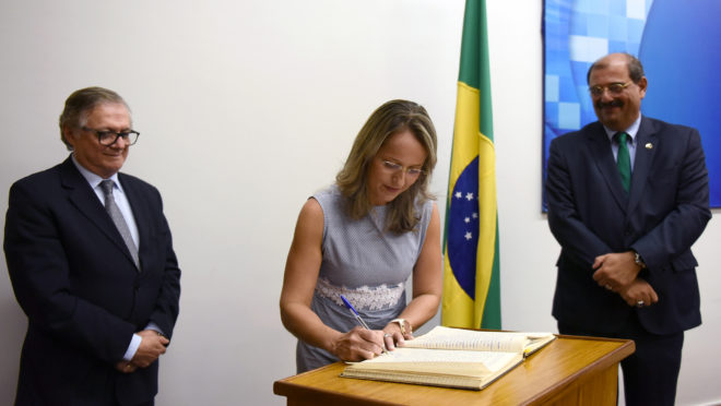 Tânia Leme de Almeida durante cerimônia de posse na Câmara de Educação Básica do Conselho Nacional de Educação, em janeiro de 2019. Foto: Andre Sousa / MEC
