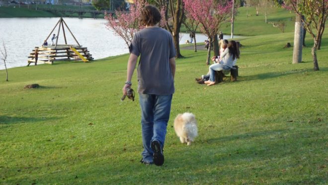 Garoto passeia com cão em parque