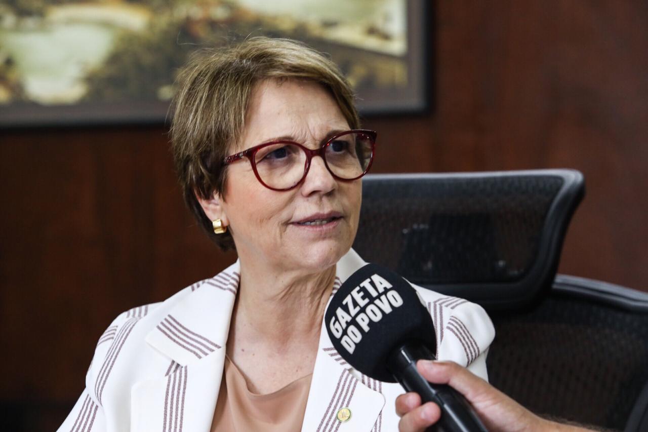 Ministra recebeu equipe da Expedição Safra em seu gabinete, em Brasília | Rogério Machado/Gazeta do Povo