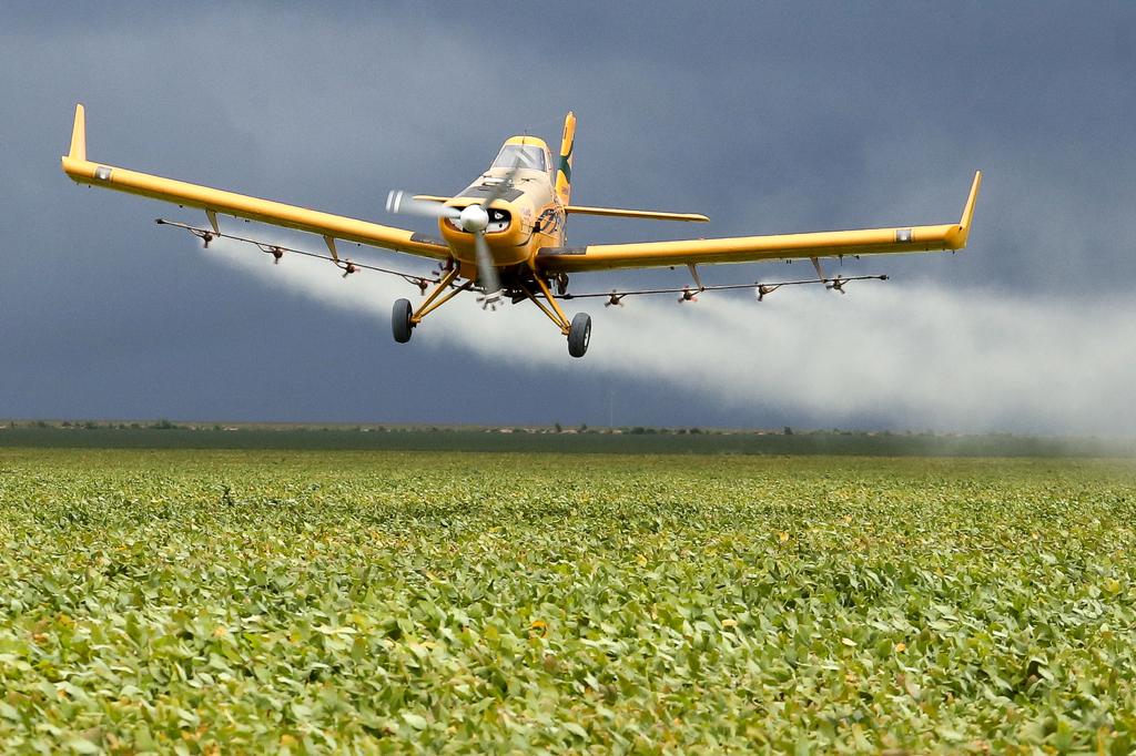 Região do Oeste da Bahia tem produção de grãos altamente tecnificada | Rogério Machado/Gazeta do Povo