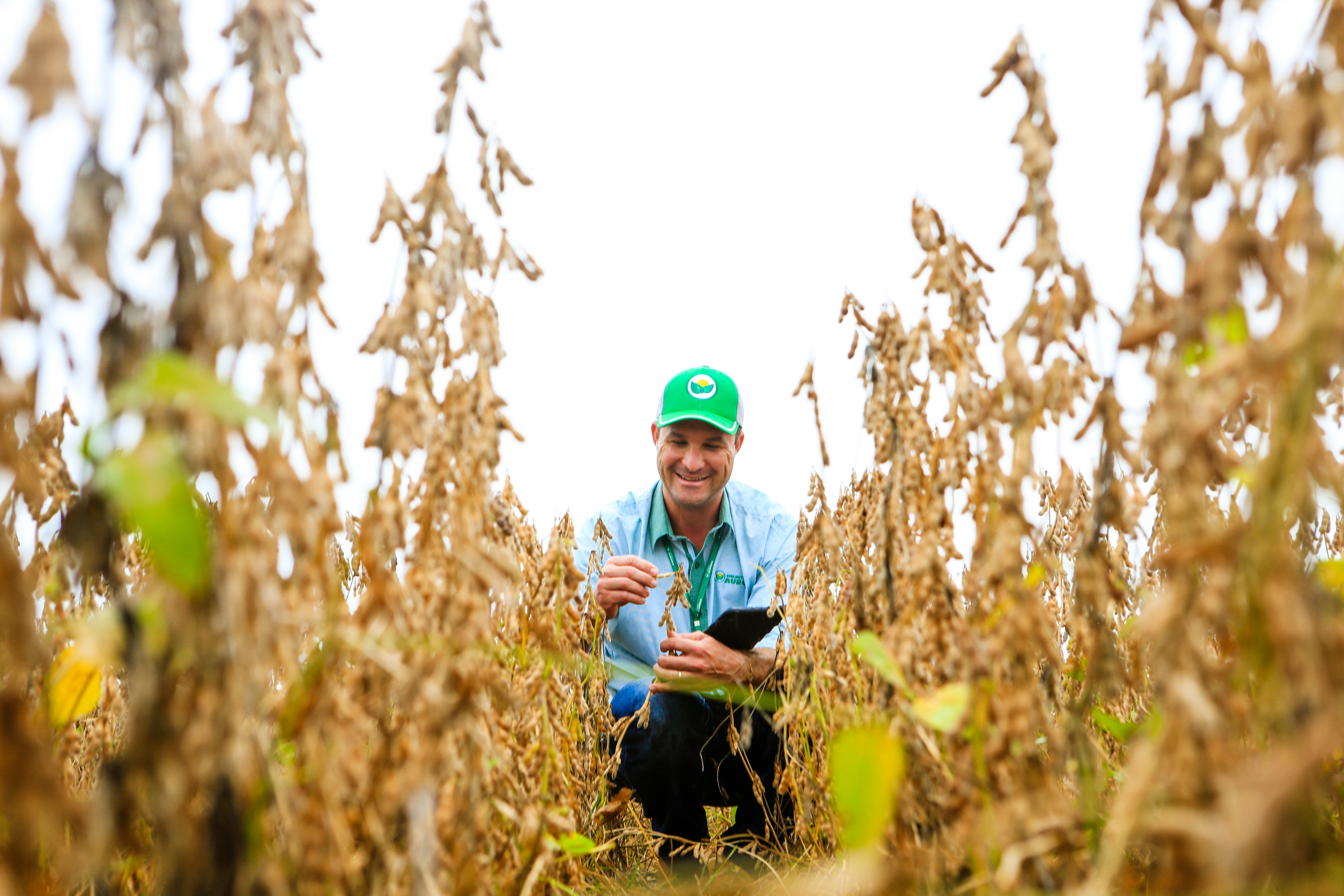 Maurício De Bortoli avalia as condições da soja com base no cruzamento de dados que consegue acessar pelo tablet em tempo real. | Michel Willian/Gazeta do Povo