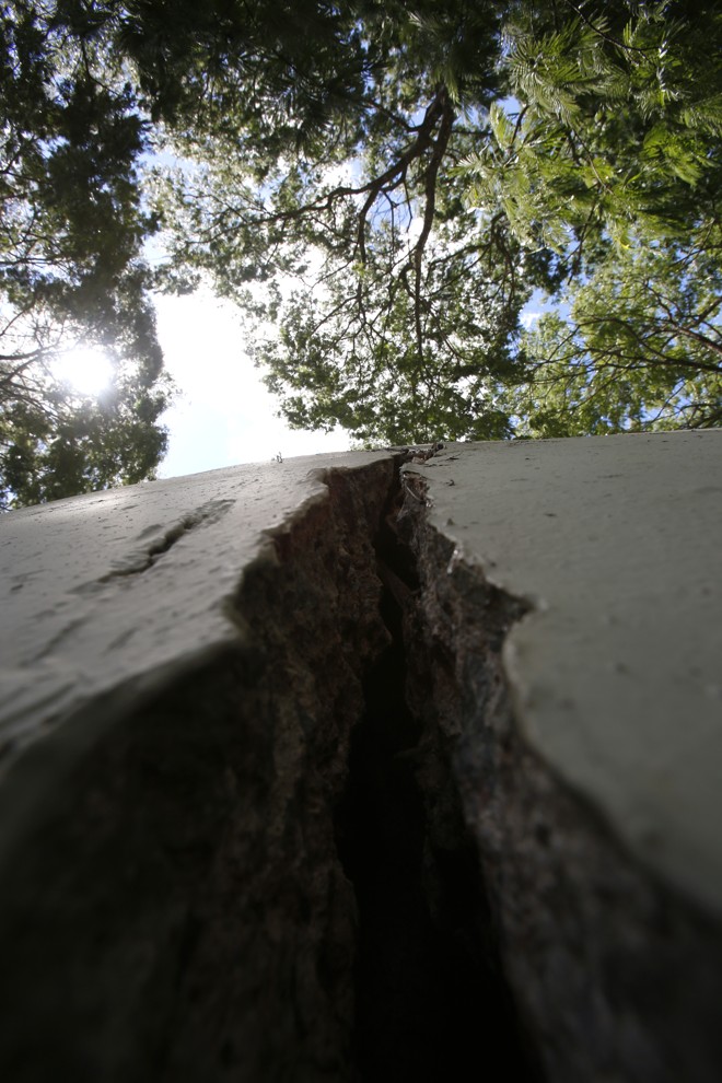  | Atila Alberti/Tribuna do Parana