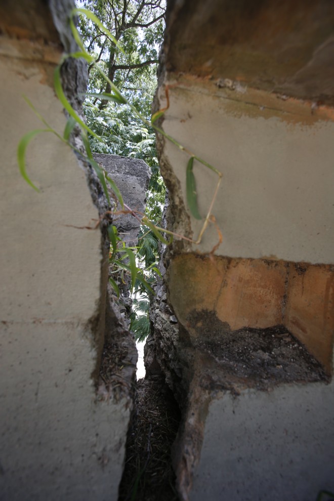  | Atila Alberti/Tribuna do Parana