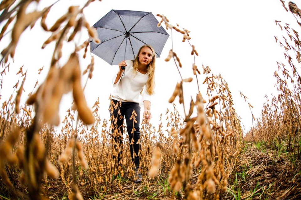 A chuva que não dá trégua impede a produtora Ana Santim de colher a soja e plantar o milho safrinha, o que significa prejuízo no bolso. | Michel Willian/Gazeta do Povo