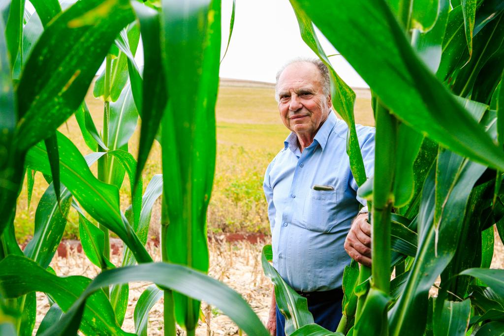 O produtor Eny Fiorentin espera safras de milho e soja (ao fundo) melhores do que as do ano anterior. | Michel Willian/Gazeta do Povo
