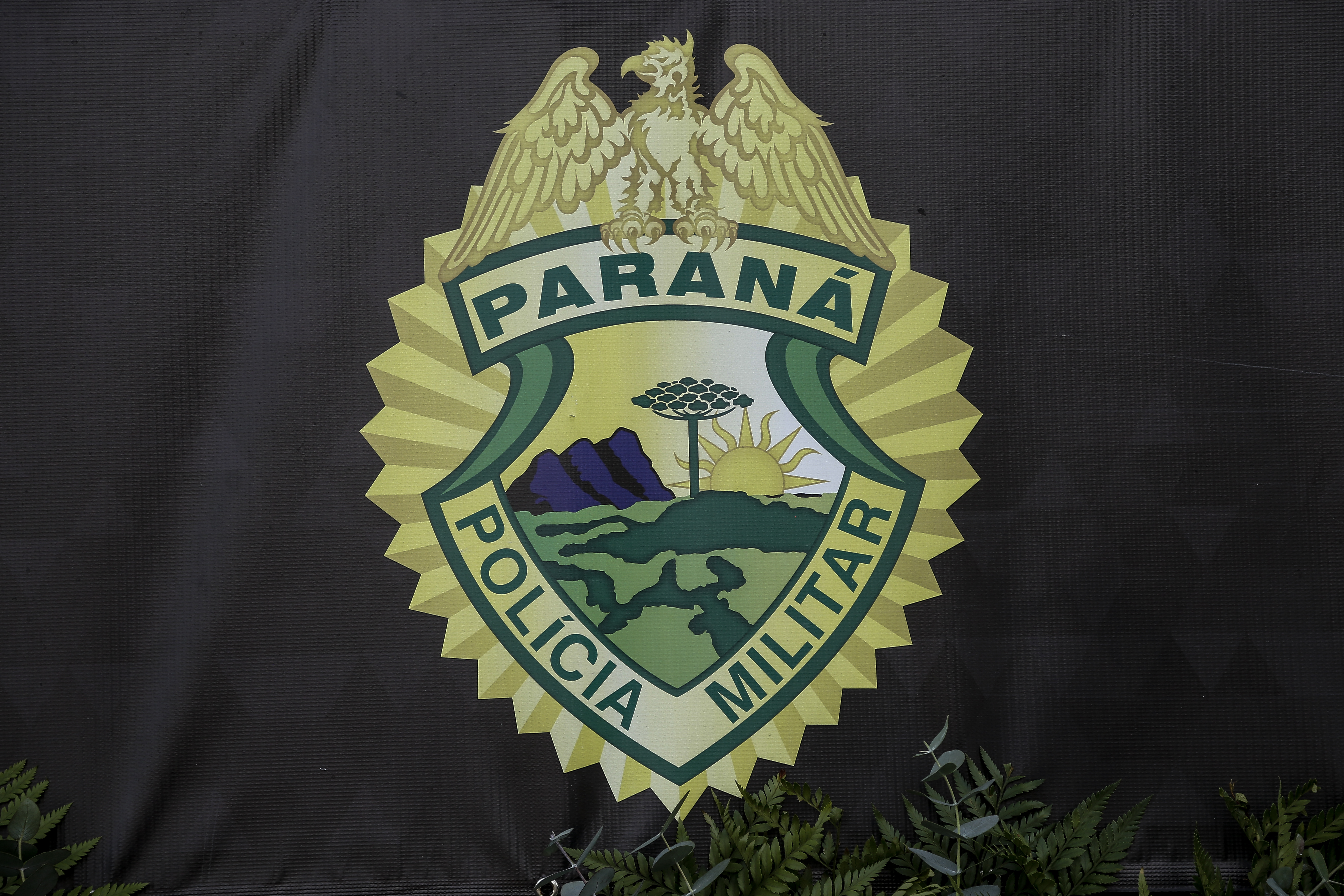 | André Rodrigues/Gazeta do Povo