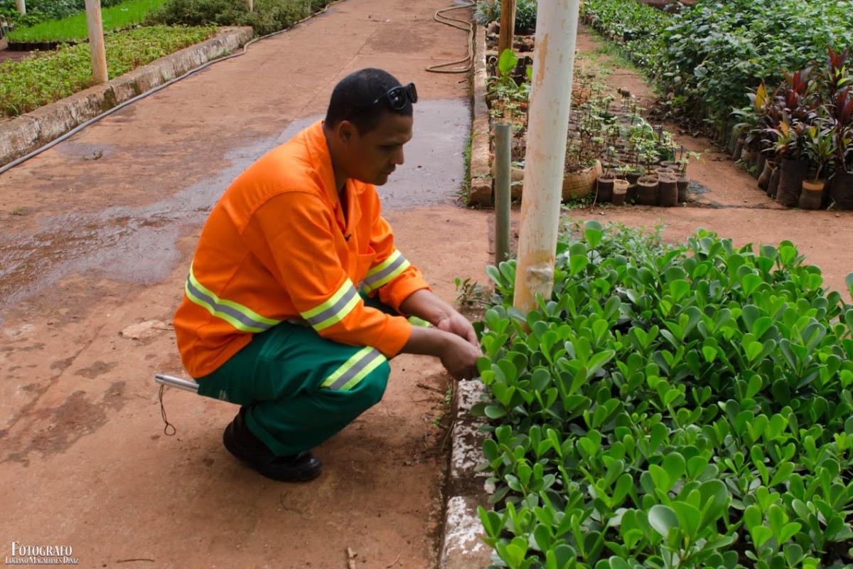 Rogério Gomes da Silva trabalha como jardineiro e quer ser professor de História | Arquivo pessoal / João Evangelista