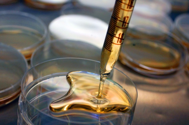 O IBMP já fornece kits para diagnóstico de doenças como Hepatite e HIV nos bancos de sangue. | Peter Ilicciev/Fiocruz