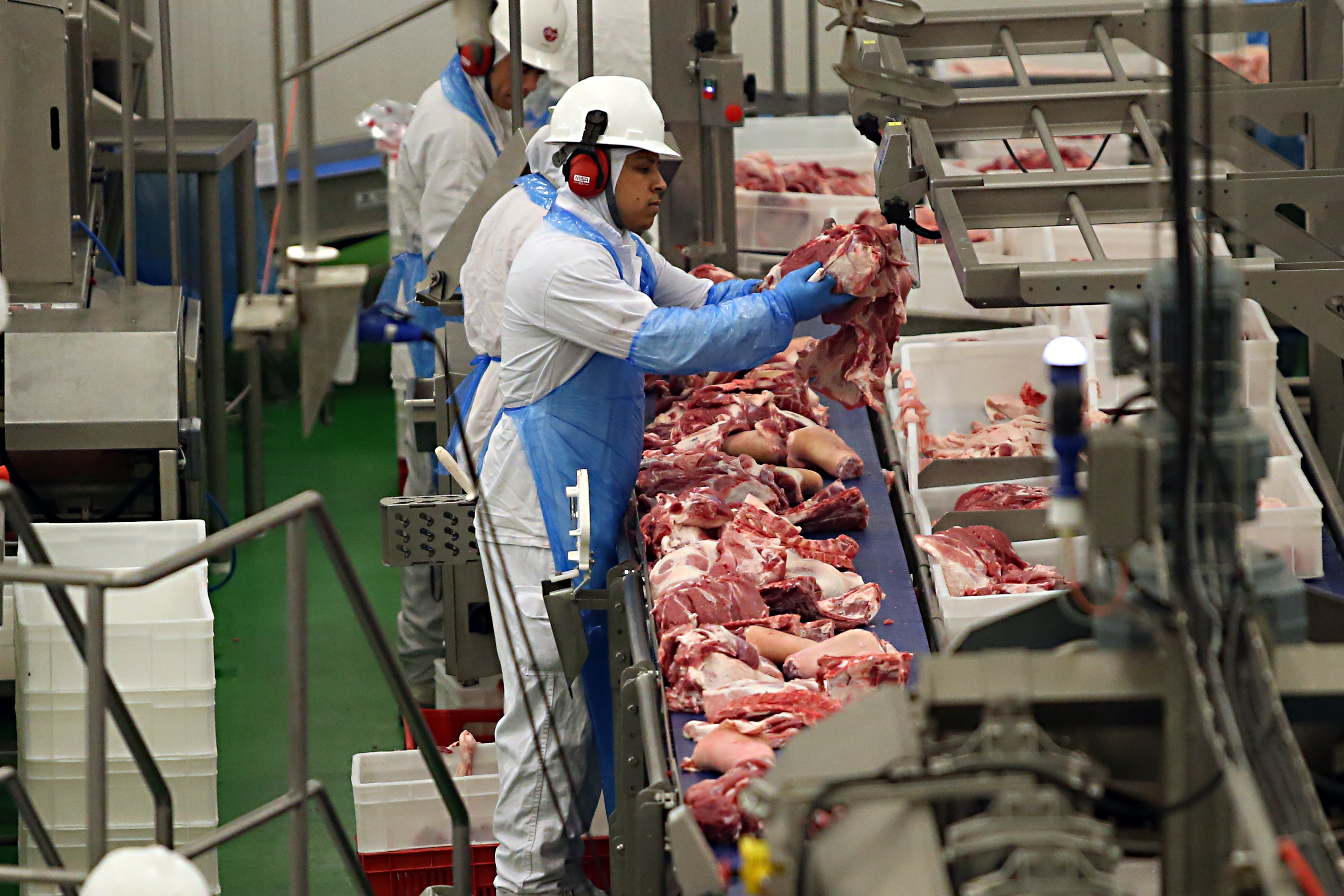  | Albari Rosa/Gazeta do Povo